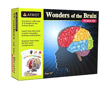 Wonders of the Brain science kit